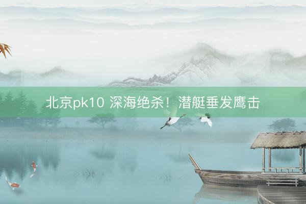 北京pk10 深海绝杀！潜艇垂发鹰击